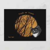 Trick or treat Halloween zwarte kat & maan Briefkaart (Voorkant)