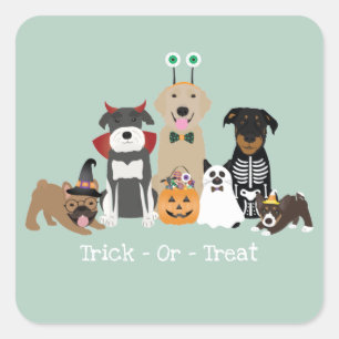 Trick or treat Happy Halloween Spooky Pet Costumes Vierkante Sticker