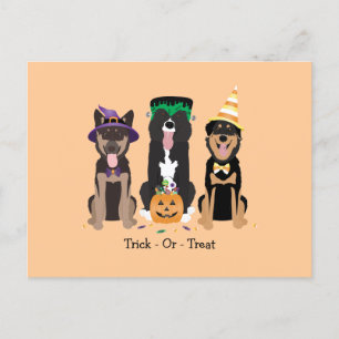 Trick or treat honden in Halloween Costumes Briefkaart