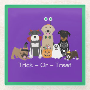 Trick or treat Pets Halloween Costumes Glazen Onderzetter