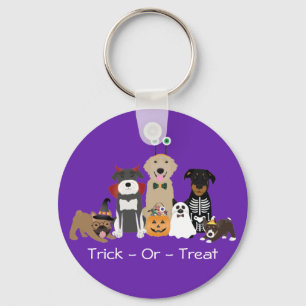 Trick or treat Pets Halloween Costumes Sleutelhanger