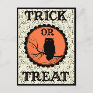 Trick or treat Spooky Halloween Uil Briefkaart
