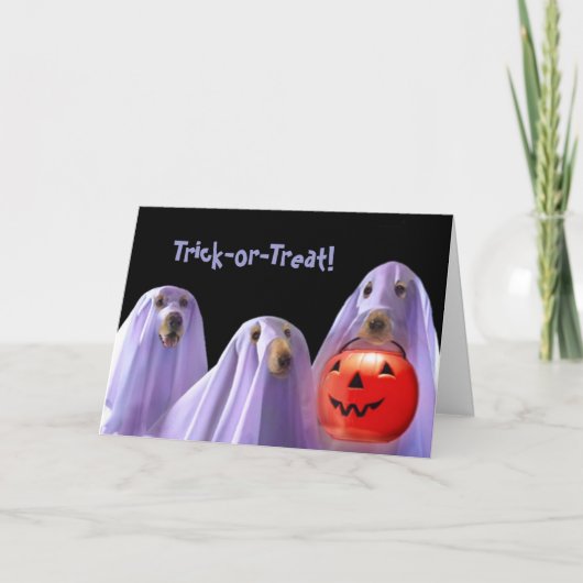 Trick-or-Treating Ghost Dogs Halloween Kaart (Voorkant)