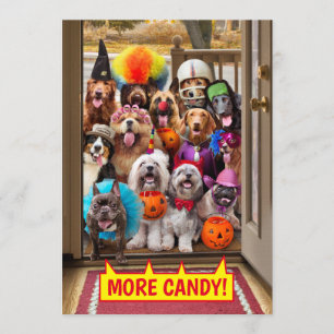 Trick-or-Treating Honden Kaart