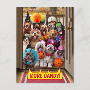 Trick-or-Treating Honden Uitnodiging Briefkaart