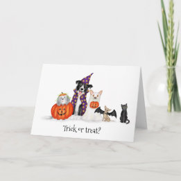 Trick ou traitement ? Chiens en costume Carte Hall