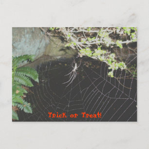 Trick ou Treat ! Carte postale Halloween