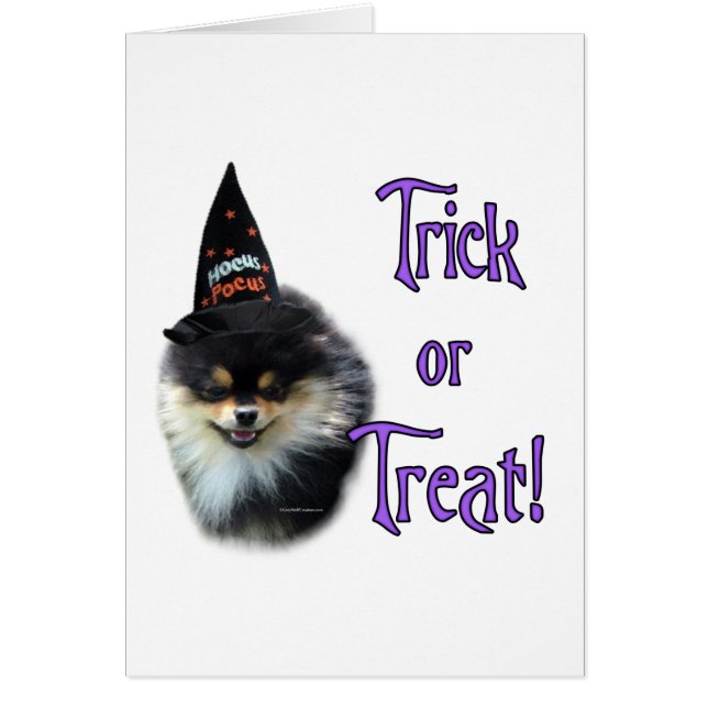 Trick Pomeranian (Devant)