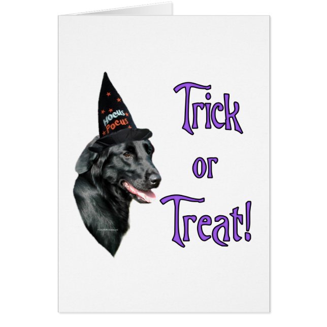 Trick Retriever à revêtement plat (Devant)