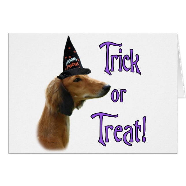 Trick Saluki (Devant horizontal)