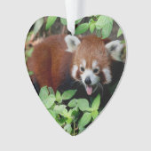 Tricksy Red Panda,  Ornament (voorkant)