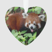 Tricksy Red Panda,  Ornament (voorkant)