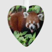 Tricksy Red Panda,  Ornament (voorkant)