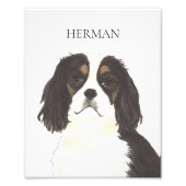 Tricolor Cavalier King Charles Spaniel Foto Afdruk (Voorkant)