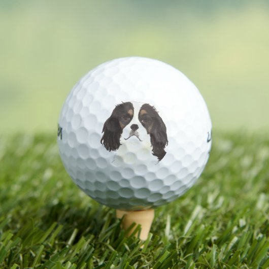 Tricolor Cavalier King Charles Spaniel Golfballen (Insitu Shirt)