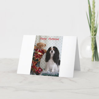 Tricolor Christmas Cavalier Feestdagen Kaart