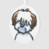 Tricolor Coton de Tuléar Face (devant)