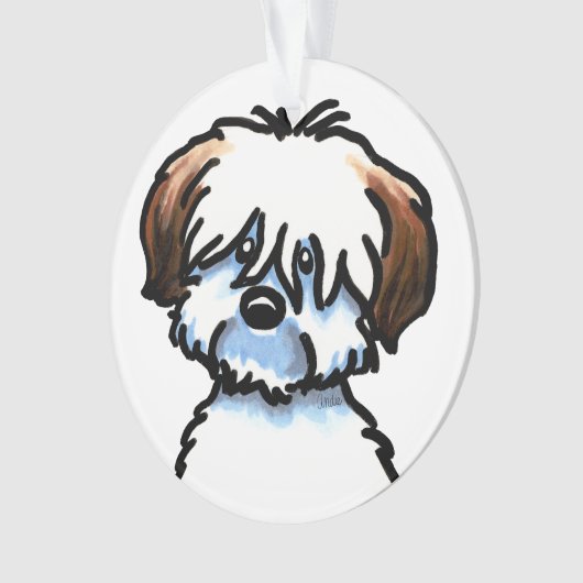 Tricolor Coton de Tuléar Face (devant)