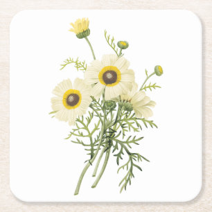 tricolor daisy (Chrysanthemum carinatum) by Redout Vierkante Kartonnen Onderzetter