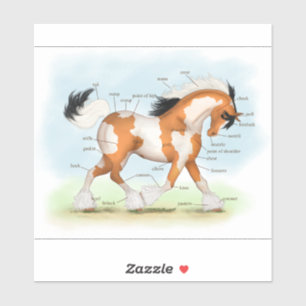 Tricolor Overo Pinto Gypsy Paard Anatomie Grafiek Sticker