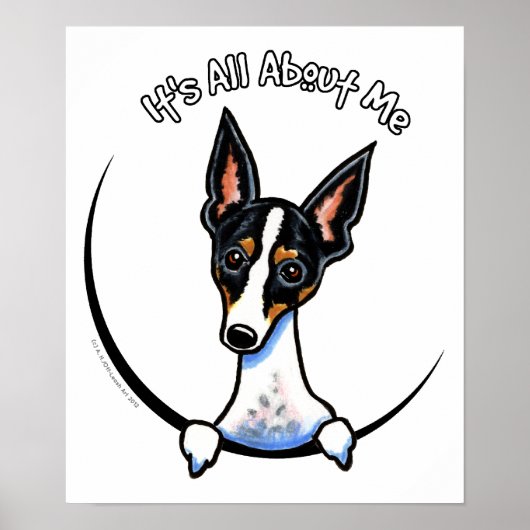 Tricolor Rat Terrier IAAM Poster (Voorkant)