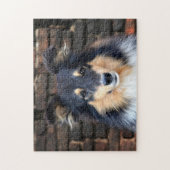 Tricolor Sheltie Legpuzzel (Verticaal)