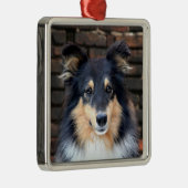 Tricolor Sheltie Metalen Ornament (Rechts)