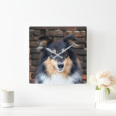 Tricolor Sheltie Vierkante Klok (Huis)