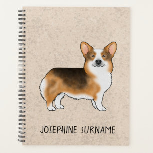 Tricolore à tête rousse Pembroke Welsh Corgi et no