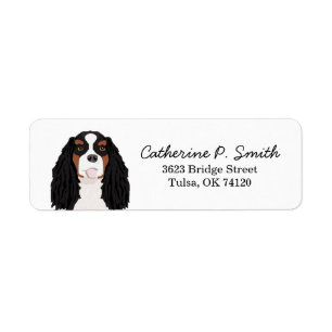 Tricolored Cavalier King Charles Spaniel Return Etiket