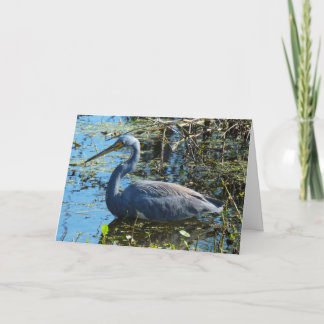 "Tricolored Heron 1." Wenskaart Kaart