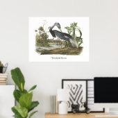 Tricolored Heron, John Audubon Poster (Thuiskantoor)