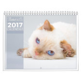 Trident 2017 le calendrier de chat (Protection)
