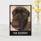 Triest, sorry Kaart (Gele Bloem)