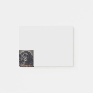Triest zwart labrador retriever hond huisdier post-it® notes