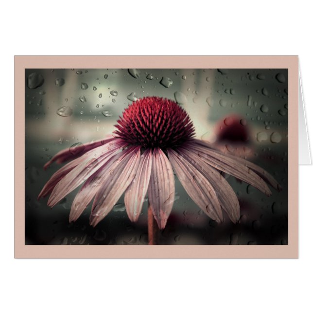 trieste eenzaamheid (Voorkant Horizontaal)