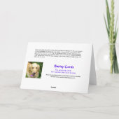 Trieste Golden Retriever in Cone Get Well Kaart (Achterkant)