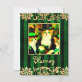 Trieste Katnip Niet Klaver Sint Catrick's Dag Katt Notitiekaartje (Voorkant)