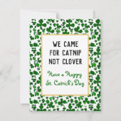 Trieste Katnip Niet Klaver Sint Catrick's Dag Katt Notitiekaartje (Achterkant)