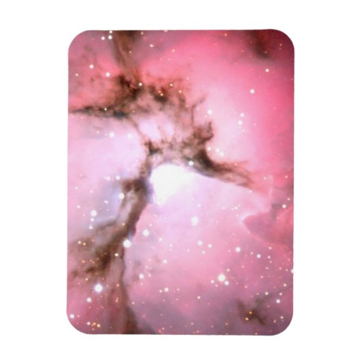 Trifid Nebula in Sagittarius Magneet (Verticaal)