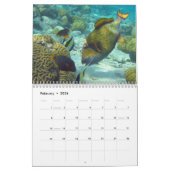 Trigger Fish 2025 Kalender (Feb 2026)