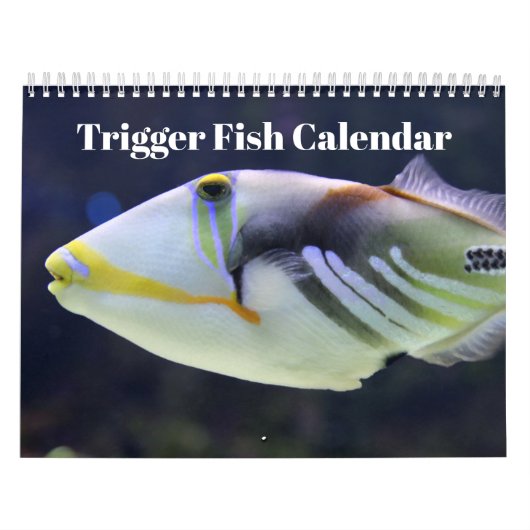 Trigger Fish 2025 Kalender (Hoes)