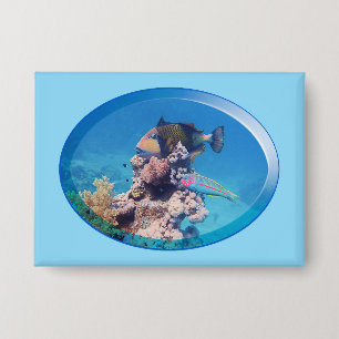 Triggerfish bij koraalrif - Fotografisch ontwerp Button