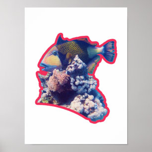 Triggerfish Rode Omrande Organische Gewas View Poster