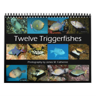 Triggerfishes Wall Calendar door J.W. Fatherree. Kalender