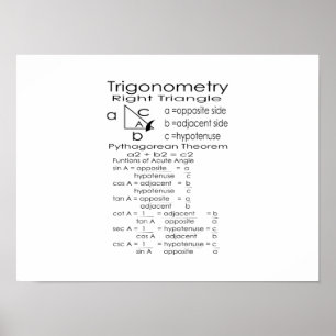 Trigonometrie Poster