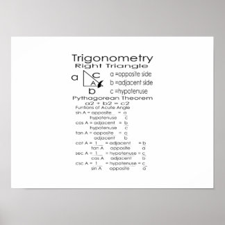 Trigonometrie Poster