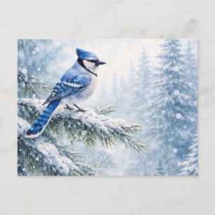 Trillende Blauwe Gaai in Besneeuwd Winter Woud Wat Briefkaart