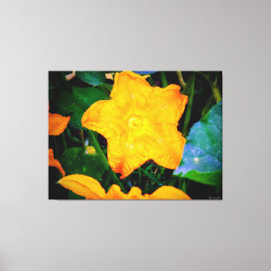 Trillende Gele Courgettebloesem Canvas Afdruk