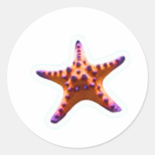 Trillende Oceaan Zeester - Kust Strand Sfeer Stick Ronde Sticker